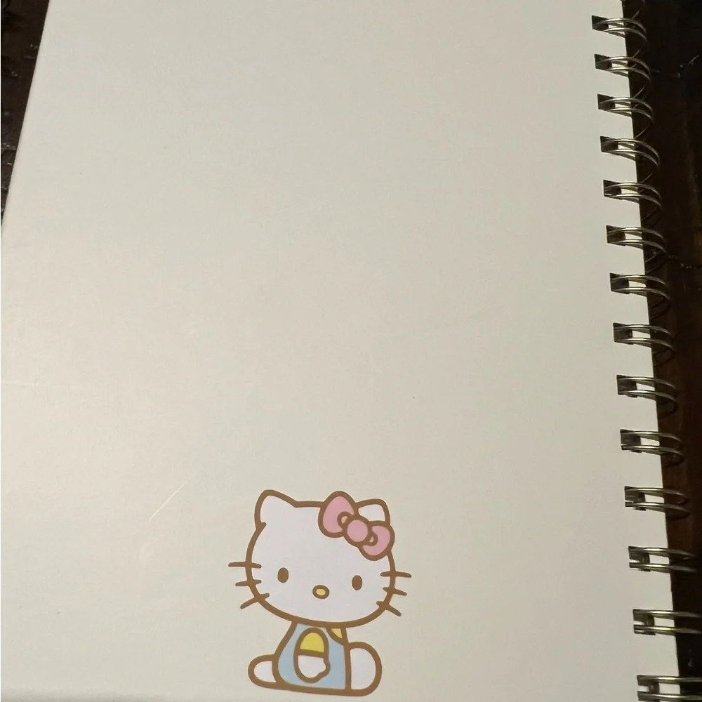 Hello Kitty Spiral Notebooks Set of 2